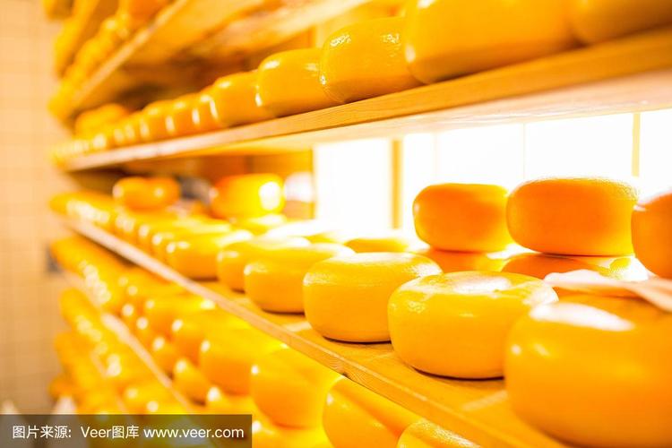 荷蘭乳制品的瑰寶 奶酪的傳承與創新